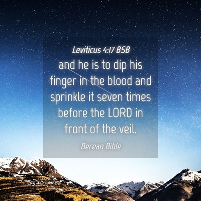 Picture 04 - Leviticus 4:17 BSB - and he is to dip his finger in the blood and - Bible Verse Picture