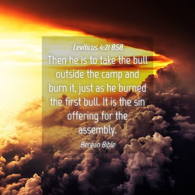 Picture 04 - Leviticus 4:21 BSB - Then he is to take the bull outside the camp and - Bible Verse Picture