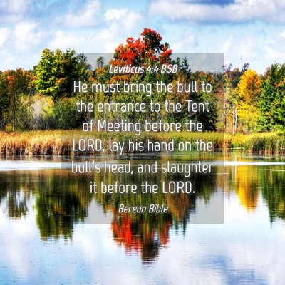 Picture 04 - Leviticus 4:4 BSB - He must bring the bull to the entrance to the - Bible Verse Picture
