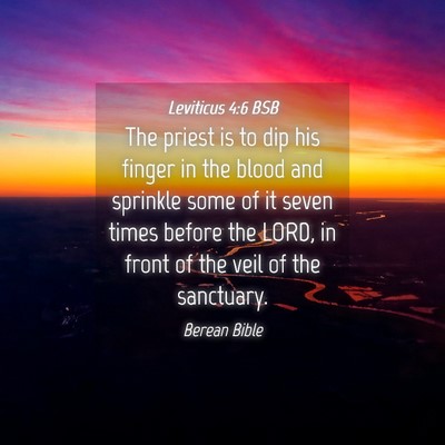 Picture 04 - Leviticus 4:6 BSB - The priest is to dip his finger in the blood and - Bible Verse Picture