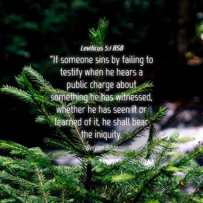 Picture 04 - Leviticus 5:1 BSB - “If someone sins by failing to testify when he - Bible Verse Picture