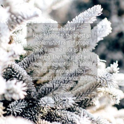 Picture 04 - Leviticus 5:18 BSB - He is to bring to the priest an unblemished ram - Bible Verse Picture