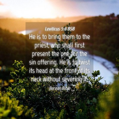 Picture 04 - Leviticus 5:8 BSB - He is to bring them to the priest, who shall - Bible Verse Picture
