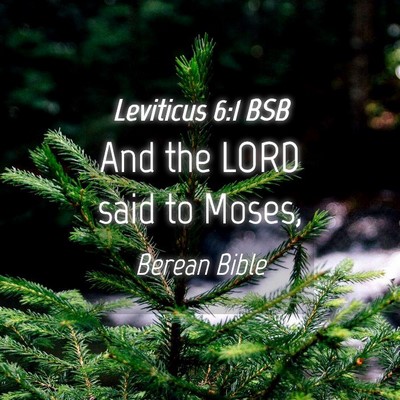 Picture 04 - Leviticus 6:1 BSB - And the LORD said to - Bible Verse Picture