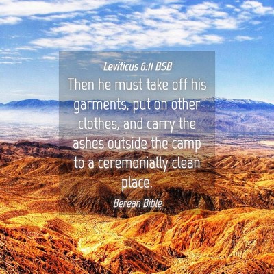 Picture 04 - Leviticus 6:11 BSB - Then he must take off his garments, put on other - Bible Verse Picture