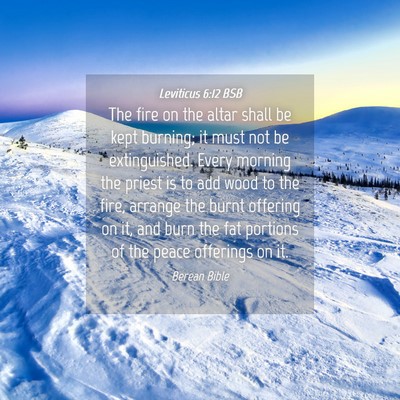 Picture 04 - Leviticus 6:12 BSB - The fire on the altar shall be kept burning; it - Bible Verse Picture