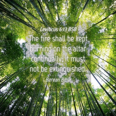 Picture 04 - Leviticus 6:13 BSB - The fire shall be kept burning on the altar - Bible Verse Picture
