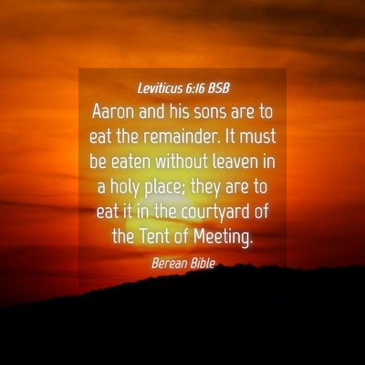 Picture 04 - Leviticus 6:16 BSB - Aaron and his sons are to eat the remainder. It - Bible Verse Picture