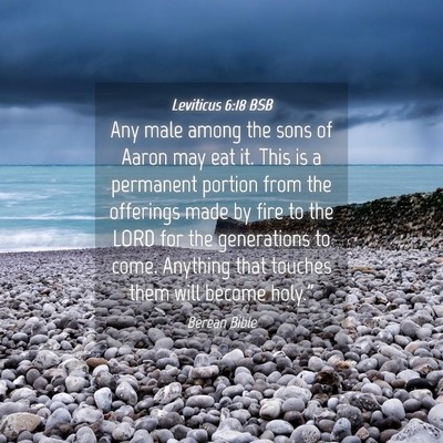 Picture 04 - Leviticus 6:18 BSB - Any male among the sons of Aaron may eat it. This - Bible Verse Picture
