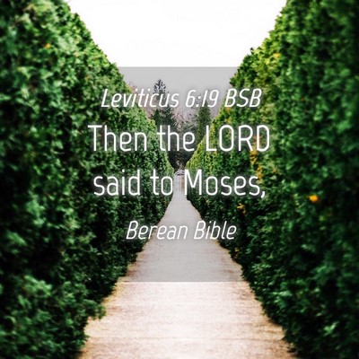 Picture 04 - Leviticus 6:19 BSB - Then the LORD said to - Bible Verse Picture