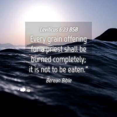 Picture 04 - Leviticus 6:23 BSB - Every grain offering for a priest shall be burned - Bible Verse Picture