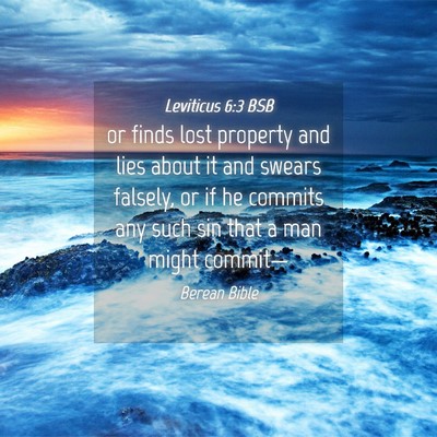 Picture 04 - Leviticus 6:3 BSB - or finds lost property and lies about it and - Bible Verse Picture