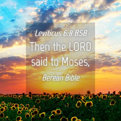 Picture 04 - Leviticus 6:8 BSB - Then the LORD said to - Bible Verse Picture