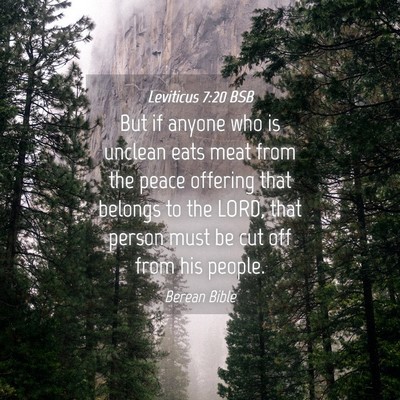 Picture 04 - Leviticus 7:20 BSB - But if anyone who is unclean eats meat from the - Bible Verse Picture