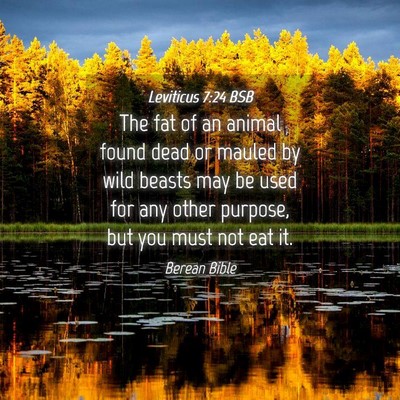 Picture 04 - Leviticus 7:24 BSB - The fat of an animal found dead or mauled by wild - Bible Verse Picture