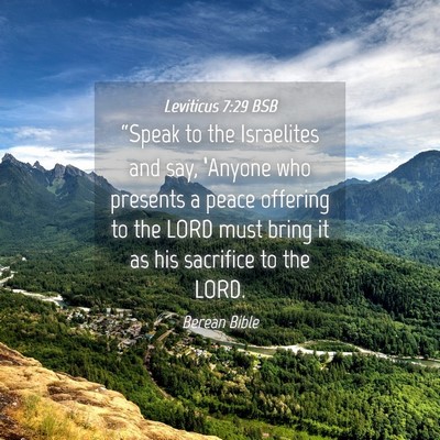 Picture 04 - Leviticus 7:29 BSB - “Speak to the Israelites and say, ‘Anyone who - Bible Verse Picture