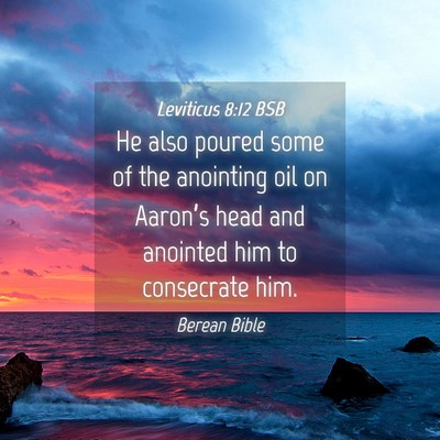 Picture 04 - Leviticus 8:12 BSB - He also poured some of the anointing oil on - Bible Verse Picture