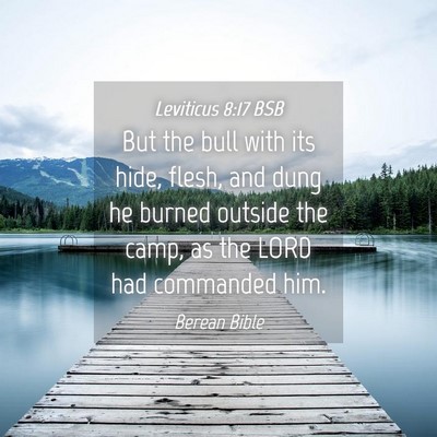 Picture 04 - Leviticus 8:17 BSB - But the bull with its hide, flesh, and dung he - Bible Verse Picture
