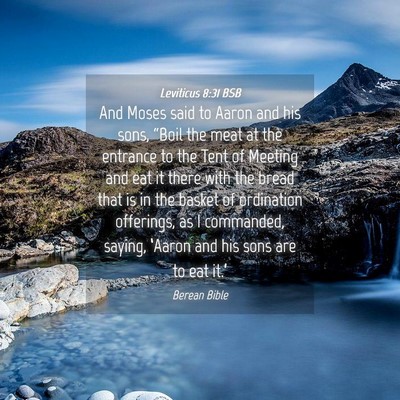 Picture 04 - Leviticus 8:31 BSB - And Moses said to Aaron and his sons, “Boil the - Bible Verse Picture