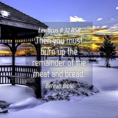 Picture 04 - Leviticus 8:32 BSB - Then you must burn up the remainder of the meat - Bible Verse Picture