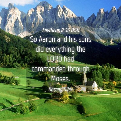 Picture 04 - Leviticus 8:36 BSB - So Aaron and his sons did everything the LORD had - Bible Verse Picture