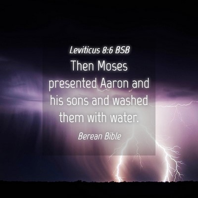 Picture 04 - Leviticus 8:6 BSB - Then Moses presented Aaron and his sons and - Bible Verse Picture