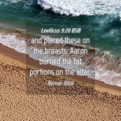 Picture 04 - Leviticus 9:20 BSB - and placed these on the breasts. Aaron burned the - Bible Verse Picture