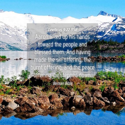 Picture 04 - Leviticus 9:22 BSB - Aaron lifted up his hands toward the people and - Bible Verse Picture