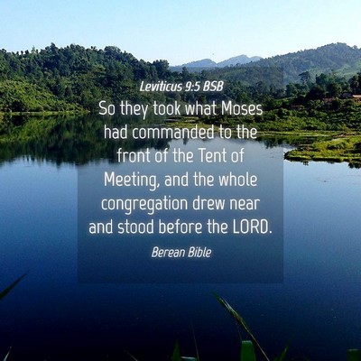 Picture 04 - Leviticus 9:5 BSB - So they took what Moses had commanded to the - Bible Verse Picture
