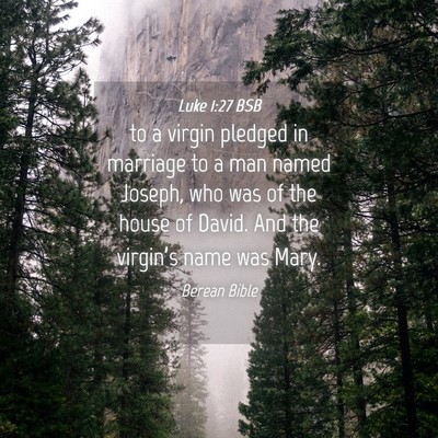 Picture 04 - Luke 1:27 BSB - to a virgin pledged in marriage to a man named - Bible Verse Picture