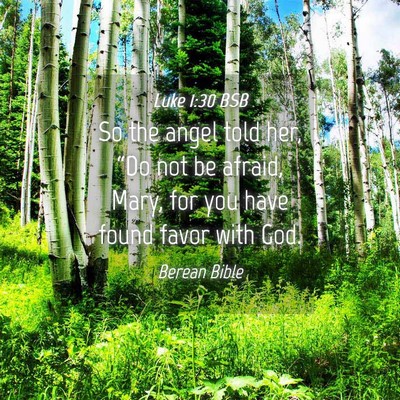 Picture 04 - Luke 1:30 BSB - So the angel told her, “Do not be afraid, Mary, - Bible Verse Picture