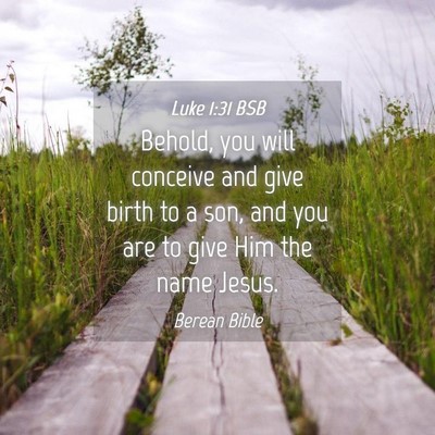 Picture 04 - Luke 1:31 BSB - Behold, you will conceive and give birth to a - Bible Verse Picture