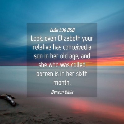 Picture 04 - Luke 1:36 BSB - Look, even Elizabeth your relative has conceived - Bible Verse Picture