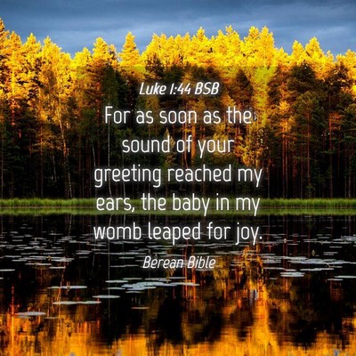 Picture 04 - Luke 1:44 BSB - For as soon as the sound of your greeting reached - Bible Verse Picture