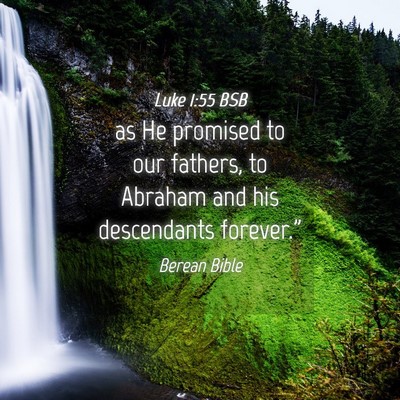 Picture 04 - Luke 1:55 BSB - as He promised to our fathers, to Abraham and his - Bible Verse Picture