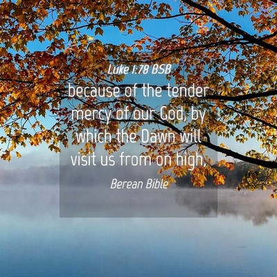 Picture 04 - Luke 1:78 BSB - because of the tender mercy of our God, by which - Bible Verse Picture