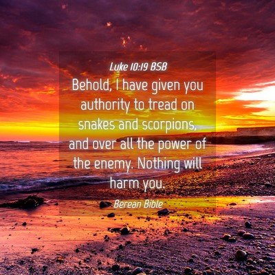 Picture 04 - Luke 10:19 BSB - Behold, I have given you authority to tread on - Bible Verse Picture