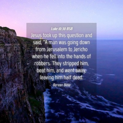 Picture 04 - Luke 10:30 BSB - Jesus took up this question and said, “A man - Bible Verse Picture