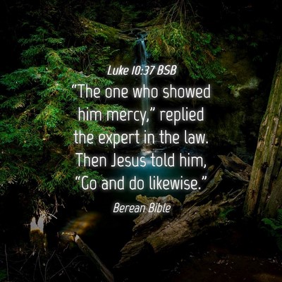 Picture 04 - Luke 10:37 BSB - “The one who showed him mercy,” replied the - Bible Verse Picture