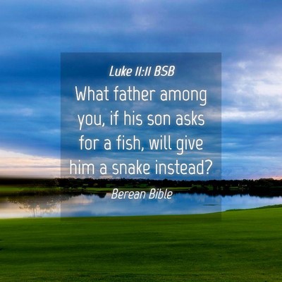 Picture 04 - Luke 11:11 BSB - What father among you, if his son asks for a - Bible Verse Picture