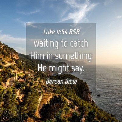 Picture 04 - Luke 11:54 BSB - waiting to catch Him in something He might - Bible Verse Picture