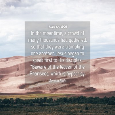 Picture 04 - Luke 12:1 BSB - In the meantime, a crowd of many thousands had - Bible Verse Picture
