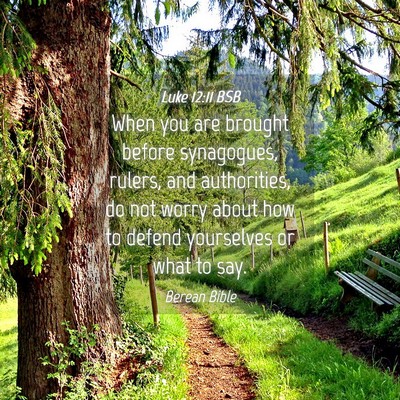 Picture 04 - Luke 12:11 BSB - When you are brought before synagogues, rulers, - Bible Verse Picture