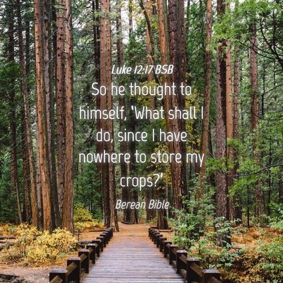 Picture 04 - Luke 12:17 BSB - So he thought to himself, ‘What shall I do, - Bible Verse Picture