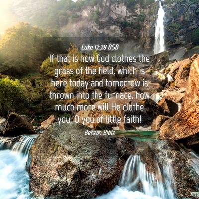 Picture 04 - Luke 12:28 BSB - If that is how God clothes the grass of the - Bible Verse Picture