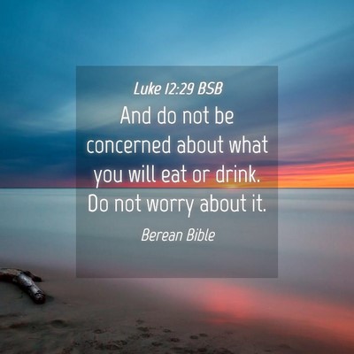 Picture 04 - Luke 12:29 BSB - And do not be concerned about what you will eat - Bible Verse Picture