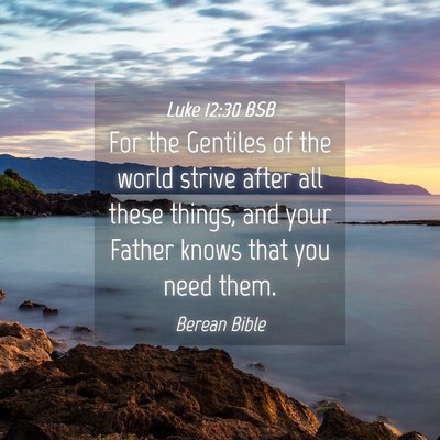 Picture 04 - Luke 12:30 BSB - For the Gentiles of the world strive after all - Bible Verse Picture