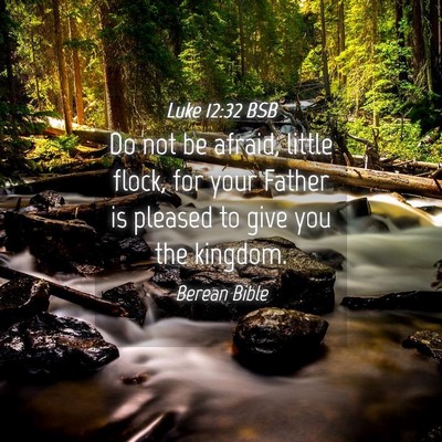 Picture 04 - Luke 12:32 BSB - Do not be afraid, little flock, for your Father - Bible Verse Picture