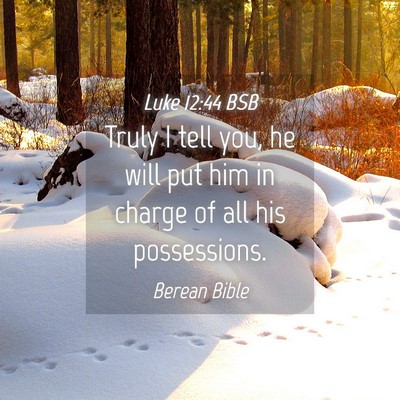 Picture 04 - Luke 12:44 BSB - Truly I tell you, he will put him in charge of - Bible Verse Picture