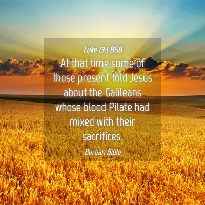 Picture 04 - Luke 13:1 BSB - At that time some of those present told Jesus - Bible Verse Picture
